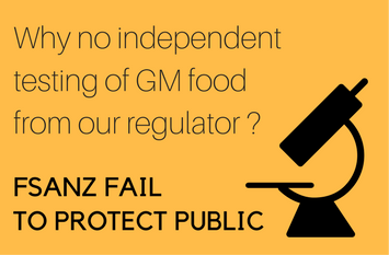 No independent testing of GM food by our regulator FSANZ
